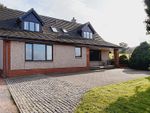 Thumbnail to rent in North View, The Glen, Castle Douglas Road, Dumfries