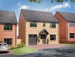 Thumbnail to rent in "The Strand" at Ann Strutt Close, Hadleigh, Ipswich