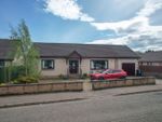 Thumbnail to rent in Dundee Road, Letham, Forfar