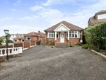 Thumbnail for sale in Ochiltree Road, Hastings