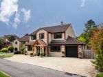 Thumbnail for sale in Westbury Road, Warminster