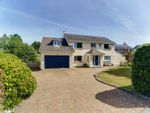 Thumbnail to rent in Powisland Drive, Derriford, Plymouth