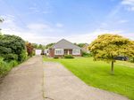 Thumbnail for sale in Dovecote Lane, Wainfleet