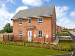 Thumbnail to rent in "Moresby" at Chestnut Road, Langold, Worksop