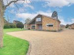 Thumbnail for sale in Mill End Close, Warboys, Huntingdon