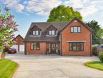 Thumbnail for sale in Smithfield, North Thoresby, Grimsby