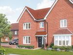 Thumbnail to rent in "The Cypress" at Wallace Avenue, Boorley Green, Southampton