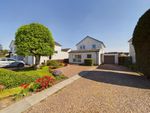 Thumbnail to rent in 6 Berrydale Road, Blairgowrie, Perthshire