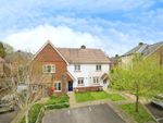 Thumbnail to rent in Buckle Gardens, Hellingly, Hailsham