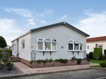 Thumbnail for sale in Severn Bridge Park Homes, Beachley, Chepstow