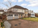 Thumbnail for sale in Sandpiper Meadow, Alloa, Clackmannanshire