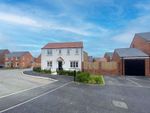Thumbnail to rent in Fennel Way, Morpeth
