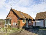 Thumbnail for sale in Brambles Close, Spixworth, Norwich