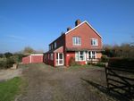 Thumbnail for sale in Redbrook Street, Woodchurch