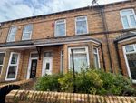 Thumbnail to rent in Mayville Avenue, Scarborough