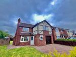 Thumbnail to rent in Beech Grove, Holton-Le-Clay, Grimsby