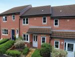 Thumbnail to rent in Larkspur Drive, Newton Abbot