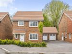 Thumbnail to rent in Treviglio Close, Romsey, Hampshire