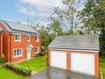 Thumbnail to rent in Lavender Way, Easingwold, York
