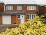 Thumbnail to rent in Lockwood Bank, Epworth, Doncaster