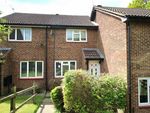 Thumbnail to rent in Speedwell Close, Guildford, Surrey