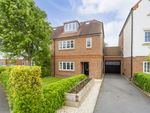 Thumbnail to rent in Mortimer Crescent, St.Albans