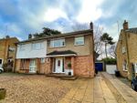 Thumbnail to rent in Pinetrees, Weston Favell, Northampton