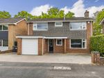 Thumbnail to rent in Holland Close, Chandler's Ford, Eastleigh
