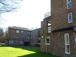 Thumbnail to rent in Frizley Gardens, Bradford