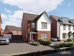 Thumbnail to rent in "The Rosewood" at Hayloft Way, Nuneaton