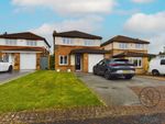 Thumbnail to rent in Harebell Meadows, Newton Aycliffe