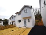 Thumbnail to rent in Silverdale Road, Eastbourne