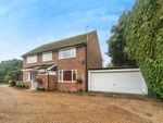 Thumbnail to rent in Portsmouth Road, Ripley, Woking, Surrey