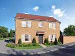 Thumbnail to rent in "The Spruce" at Park View, Corby