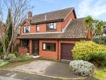Thumbnail for sale in Lark Close, Exeter