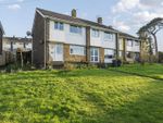 Thumbnail to rent in Woodbury Park, Axminster