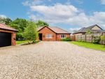 Thumbnail for sale in Mill Meadow, Strumpshaw, Norwich