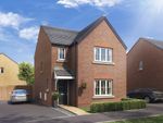 Thumbnail to rent in "The Hatfield" at Boughton Green Road, Northampton