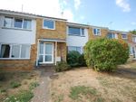 Thumbnail to rent in Wivenhoe, Colchester, Essex
