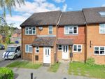 Thumbnail to rent in Elizabeth Road, Farncombe, Surrey