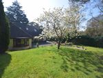 Thumbnail to rent in Lindsay Road, Branksome Park, Poole