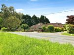Thumbnail for sale in Westwood Lane, Normandy, Guildford, Surrey