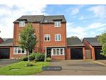 Thumbnail to rent in Watercress Rise, Biddenham, Bedford