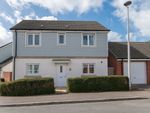 Thumbnail for sale in Vernon Crescent, Exeter
