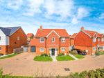 Thumbnail to rent in Bluebell Rise, Hellingly, Hailsham