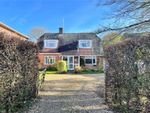 Thumbnail for sale in Martin, Fordingbridge, Hampshire