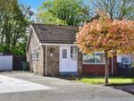 Thumbnail for sale in Fulford Crescent, Willerby, Hull