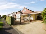 Thumbnail for sale in Queens Crescent, Horndean, Waterlooville
