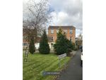 Thumbnail to rent in Abbeylea Crescent, Bolton