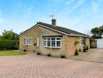 Thumbnail for sale in Beech Tree Lane, Camblesforth, Selby, North Yorkshire